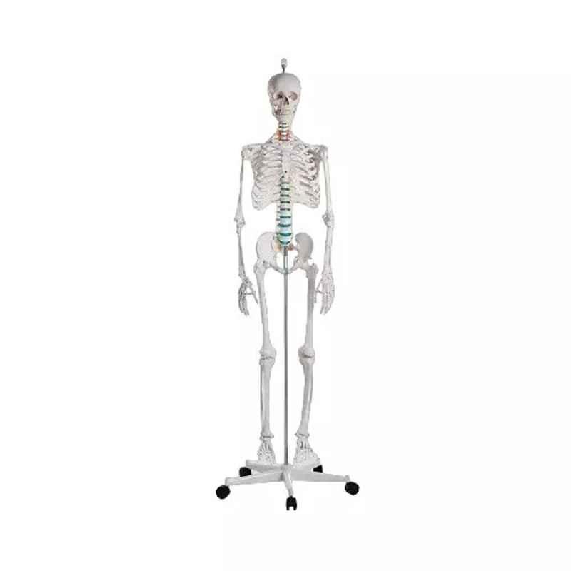 Lab Plus PE Floater, LP-14042 (Pack of 2)