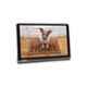 Lenovo Yoga YT3-X705X 4GB/64GB 10.1 inch FHD Iron Grey Smart Tablet, ZA540019IN