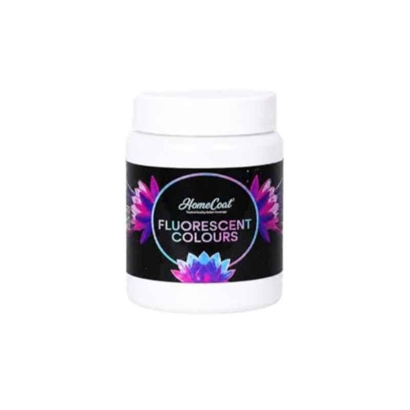 WinnerOne HomeCoat 500ml Flash White Fluorescent Colour, FC217 (Pack of 2)