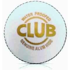 HTM Club Standard White Play Cricket Leather Ball for Daily Matches & Casual