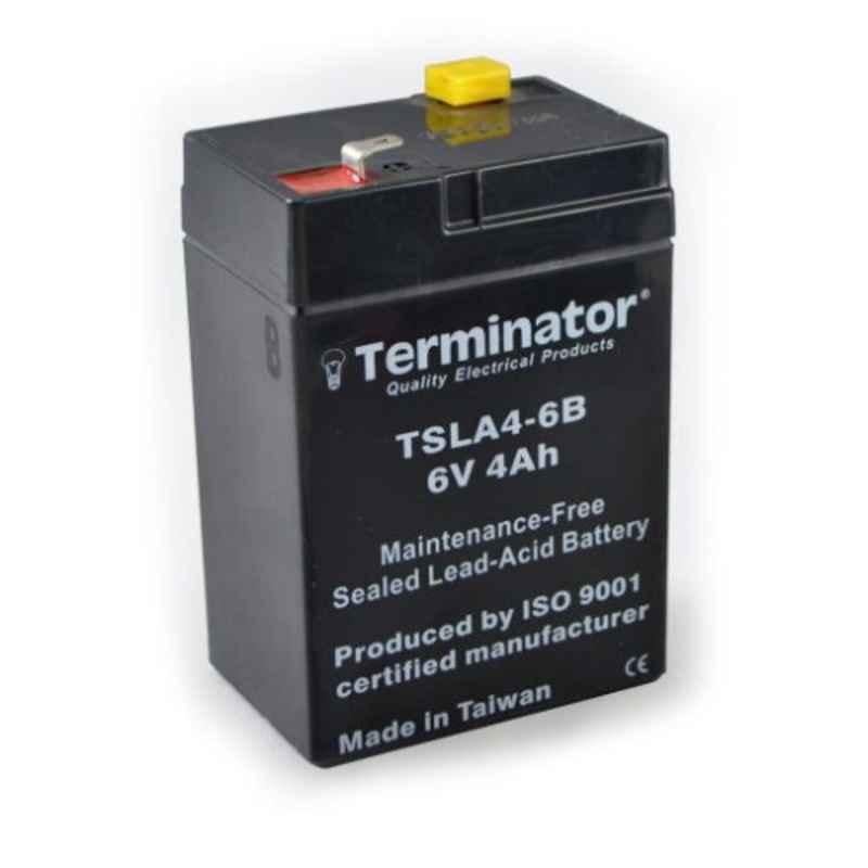 Terminator 4Ah SLA Battery, TSLA4-6B