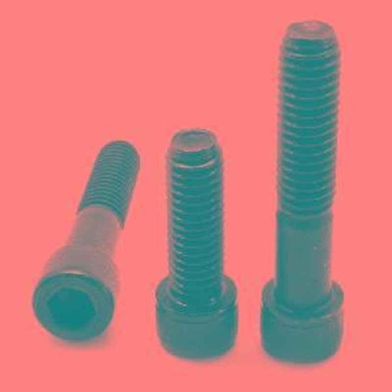 Rpi Ind - M20 X 65mm Allen Socket Head Cap Screw