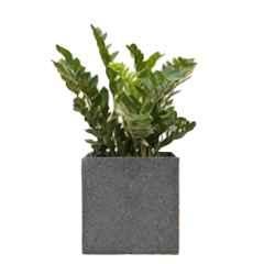 Ugaoo Large Sand Stone Paris Planter, NUHP0004