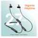 Ambrane Melody Pro Black Wireless Bluetooth Earphone