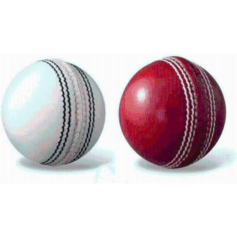 DDS T-20 Hand Stitched Leather Cricket Ball (Pack of 2)