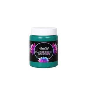 WinnerOne HomeCoat 500ml Cyan Blue Fluorescent Colour, FC213 (Pack of 2)