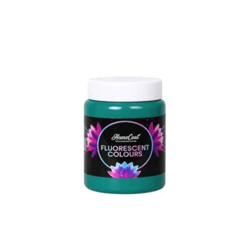 WinnerOne HomeCoat 500ml Cyan Blue Fluorescent Colour, FC213 (Pack of 2)