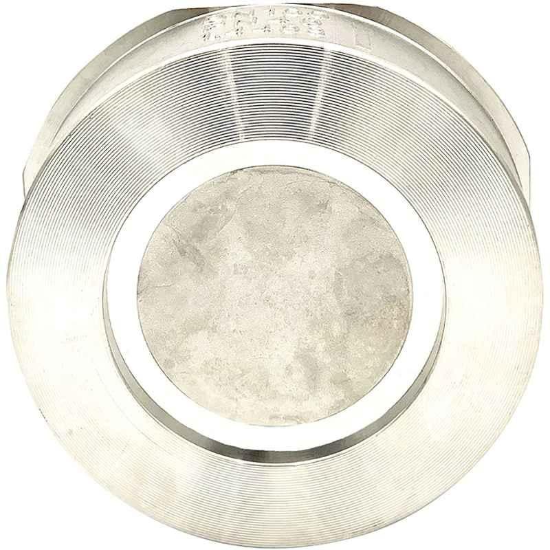 Valtec 1/2 Inch PN40 Stainless Steel Wafer Check Valve, VTDC0.50SS