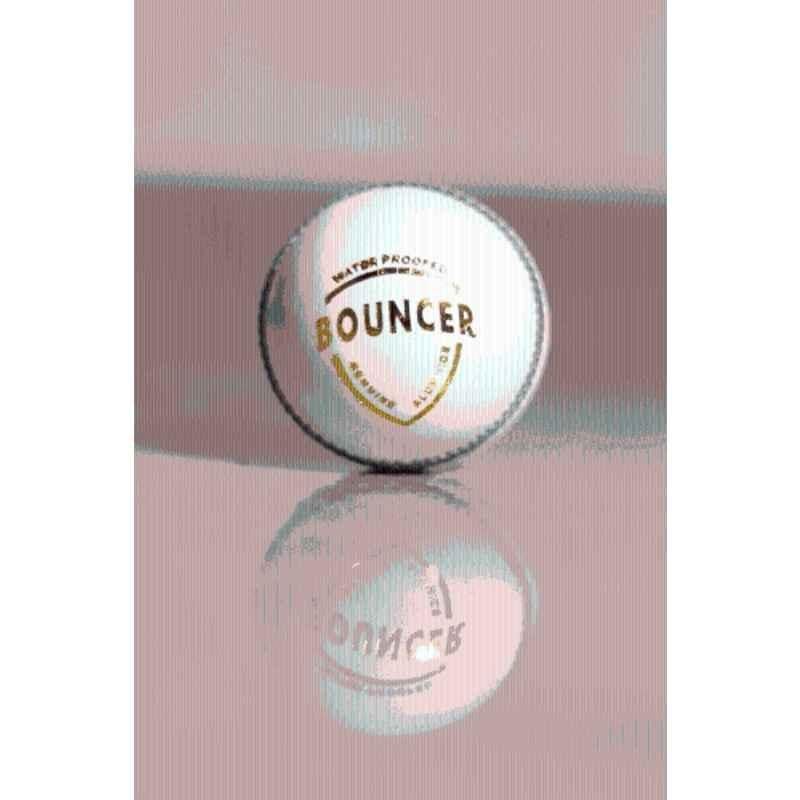 KHX Enterprises White Bouncer Cricket Ball Cricket Leather Ball (Standard White)