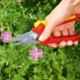 Wolf Garten Premium Plus 22mm Bypass Secateurs, RR 4000