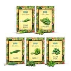IFFCO Urban Gardens 5 Pcs 50g Culinary Herb Seeds Combo