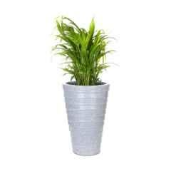 Blume Colosseum 22 inch Light Grey Stone Plastic Flower Pot