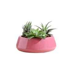 Ugaoo Extra Small Ceramic Magenta Tulip Fantasy Planter, NUCP0841