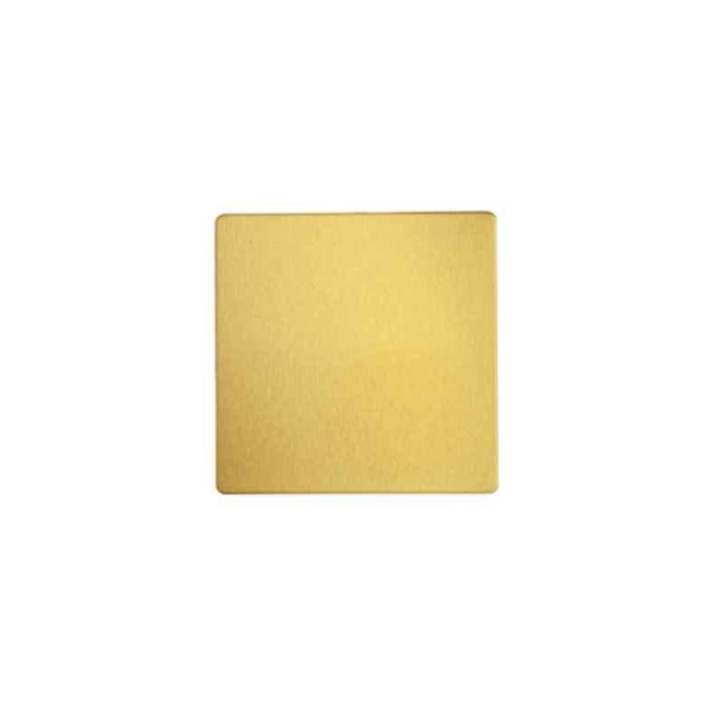 RR Vivan Metallic Brushed Gold 3x3 Single Blank Plate with Black Insert, VN6653M-B-BG