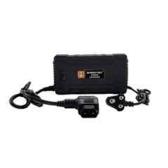 Bheemtek 84V 10A Black Electric Bike Charger with LED Indicator for RV400 & RV300 Model
