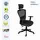 Rose Teesla Black Mesh High Back Swivel Desk Adjustable Ergonomic Chair with Headrest, Armrest & 2D Lumbar Support