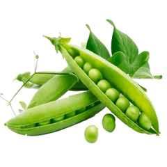Only For Organic 50g Peas Seeds for Home Gardening