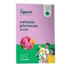 Ugaoo 0.5g Flower Celosia Plumosa Seeds, NUFSO021