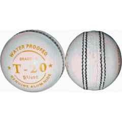 HTM T20 Leather Cricket Ball (Pack of 2)