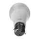 Nortek Disha 9W B22 Cool Day White LED Bulb (Pack of 2)