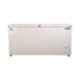 Blue Star 400L Hard Top Double Door Convertible Deep Freezer, CHFDD400MGPW