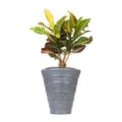 Blume Colosseum 14 inch Dark Grey Stone Plastic Flower Pot