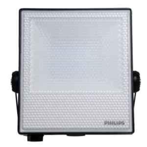Philips 20W Cool Day White Outdoor Flood Light, 919515812555