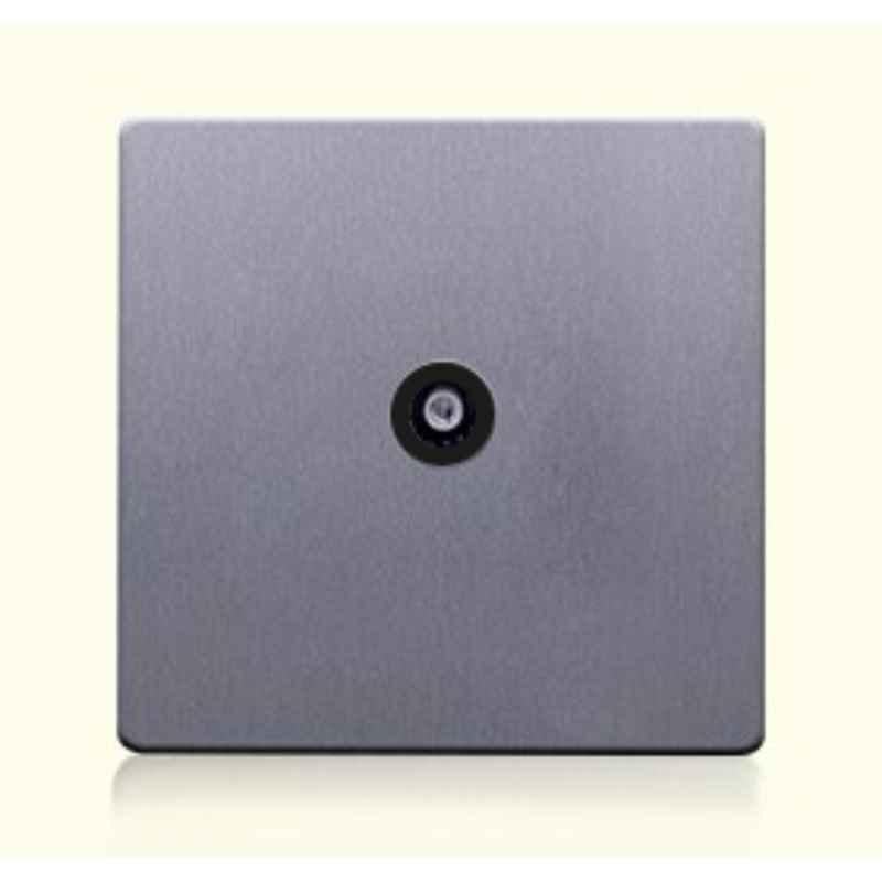 RR Vivan Metallic Brushed Stainless Steel 1-Gang Isolated Outlet Co-Axial Socket with Black Insert, VN6641M-B-BSS