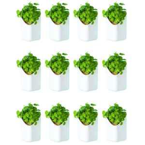 Blume Prism 7 inch Plastic White Hanging Planter, PRS-WT-12 (Pack of 12)
