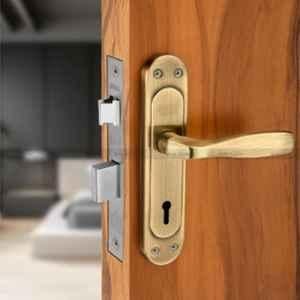 Duke 8 inch 25-40mm Brass Mortise Lock Set with 3 Keys & Brass Cylinder, 309+1004BAKY