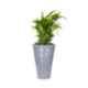 Blume Colosseum 22 inch Dark Grey Stone Plastic Flower Pot