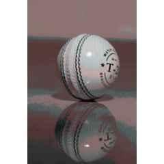 Gamers 2 Pcs Hub T-20 Standard White Cricket Leather Ball