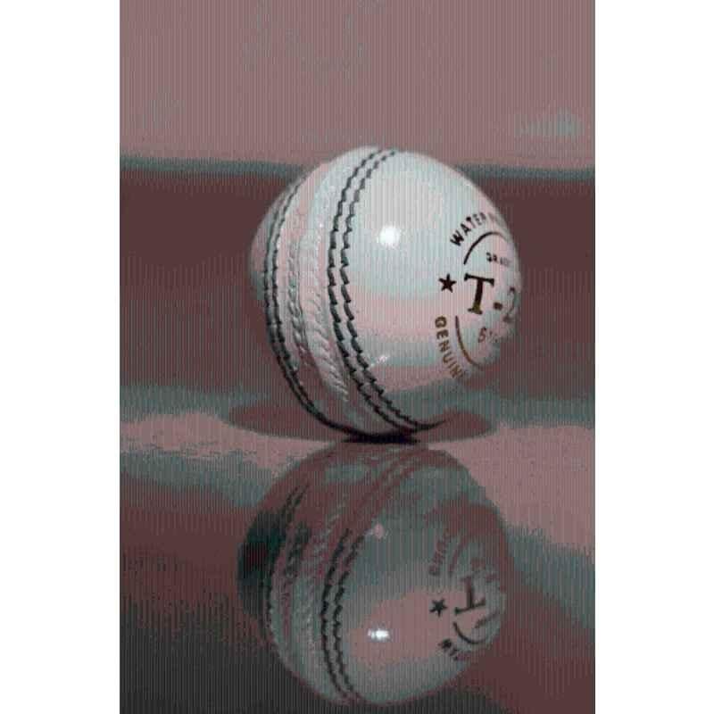 Gamers 2 Pcs Hub T-20 Standard White Cricket Leather Ball