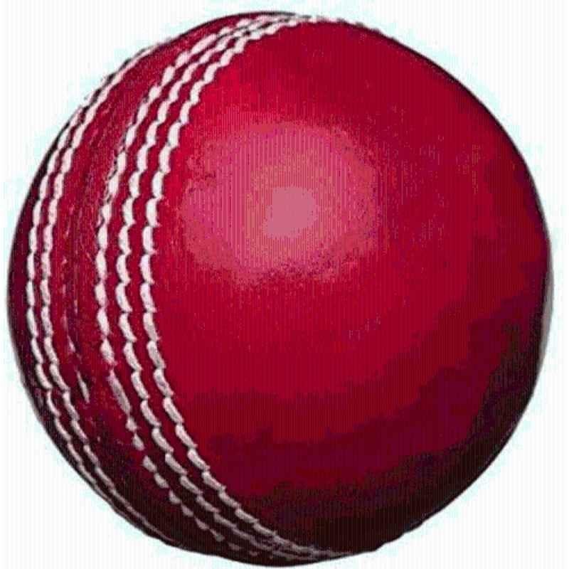 HHS Sports Standard Red Cricket Synthetic Leather Ball