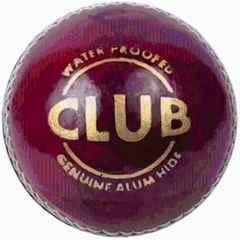 HTM Genuine Leather Cricket Ball (Pack of 2)