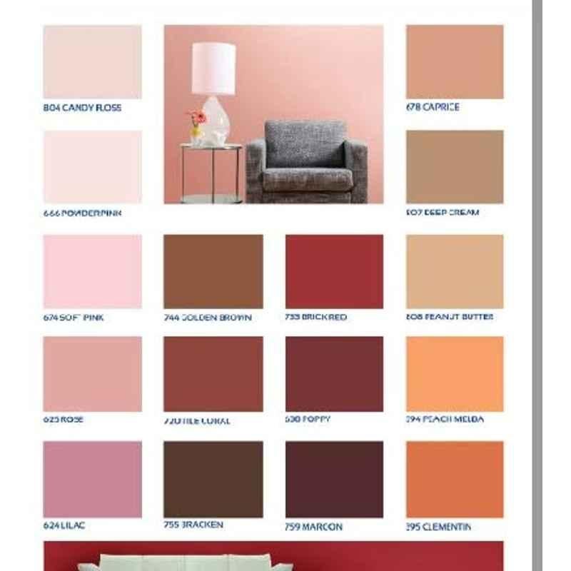 National Paint Eggshell Emulsion (Silk Finish) (527 Tornado)