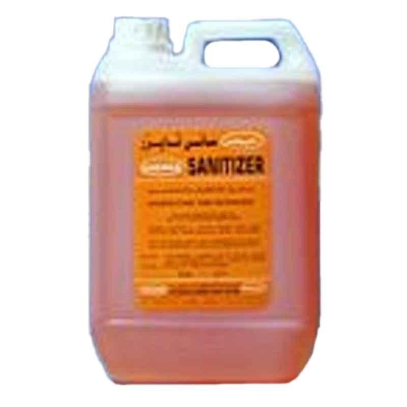 Chemex 5L Kitchen Sanitizer, 17391919