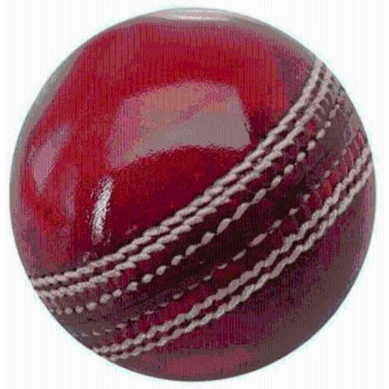 Gymcare Standard Red Cricket Leather Ball