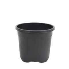 Ugaoo 6 Pcs 8 inch Plastic Garden Pots Set for Indoor Plants, NUHPG026