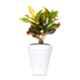 Blume Colosseum 14 inch White Plastic Flower Pot
