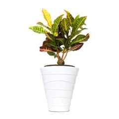Blume Colosseum 14 inch White Plastic Flower Pot