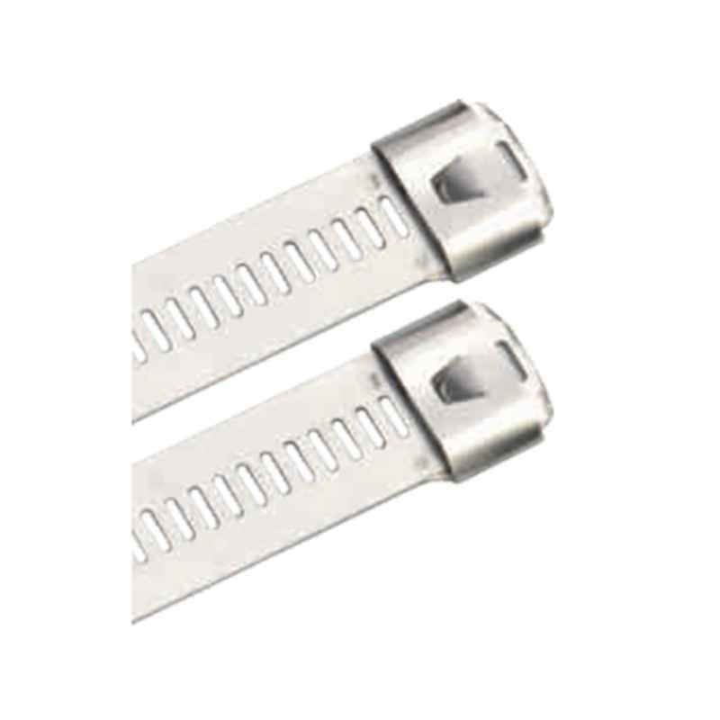 R-Loc 100 Pcs 12x600mm SS304 Ladder Type Uncoated Cable Ties Bag, LU124-600