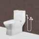Prestige 2 Pcs Brass Chrome Finish Health Faucet Set, HND-B02