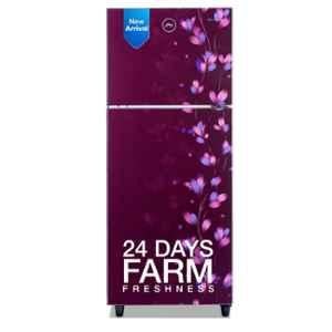 Godrej 234 Litre 2 Star Jade Wine Frost Free Double Door Refrigerator, RT EONALPHA 250B 25 RI JD WN