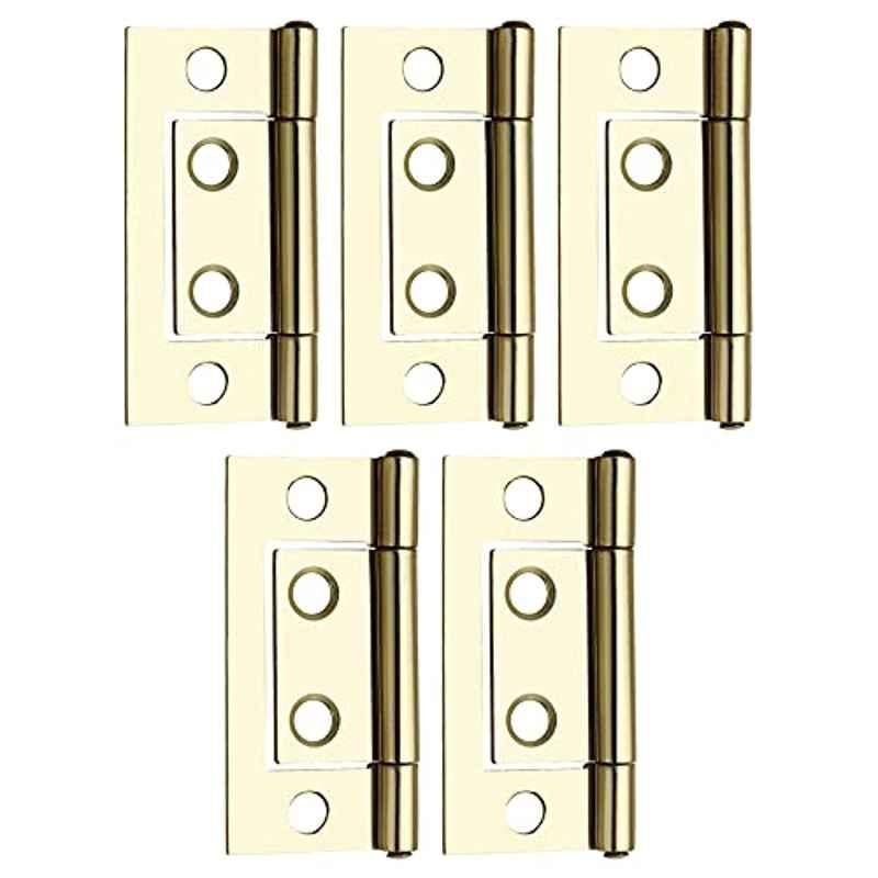 Buy Screwtight 2 inch Iron Brass Effect Finish Cabinet Flush Hinge ...