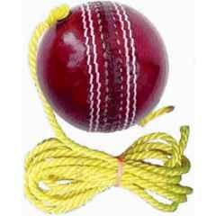 Weber TG168 Red Leather Cricket Hanging Ball for Shot Practice