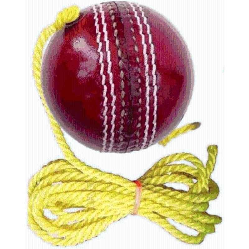 Weber TG168 Red Leather Cricket Hanging Ball for Shot Practice