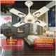 Gestor Alfa 50W Ivory Ultra High Speed Anti Dust 4 Blade Ceiling Fan, Sweep: 600 mm