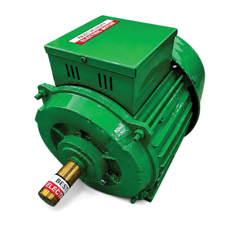 Rajco 2HP 1440rpm Aluminium Winding Single Phase Foot Mounted AC Induction Motor