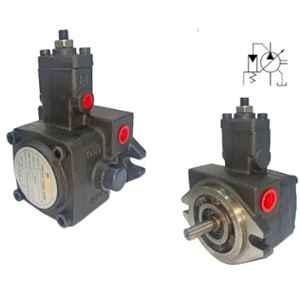 FLUIDIK 24lpm Iron Variable Vane Pump, PN02107R00/FVP2-24-1x